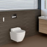 Унитаз-биде подвесной GEBERIT AQUACLEAN TUMA COMFORT 146,294.SI.1 безободковый панель белое стекло